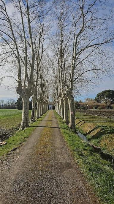 Hebergement - Canal Du Midi Saint-Martin-Lalande Luaran gambar